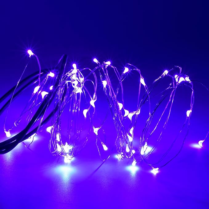 Karlling USB Plug in LED Fairy Lights,50 LED Bulbs 16 Ft Silver Wire Starry String Lights for Bedroom Patio Garden Party Wedding Commercial Lighting (Purple)