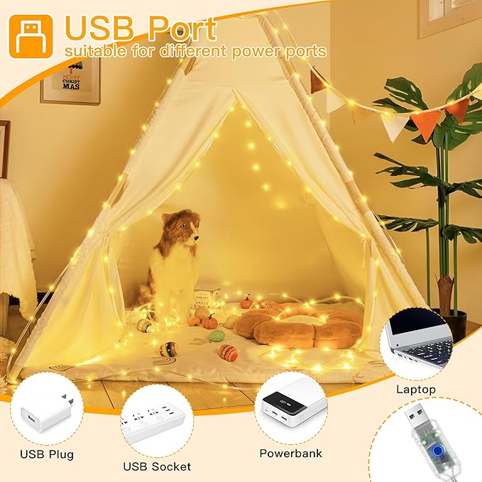 Ollny USB Rope Lights Outdoor Color Changing with Remote, 33FT 100 LED Waterproof String Lights, 18 Colors Fairy Christmas Light for Indoor Bedroom Party Garden Wedding Holiday Decorations