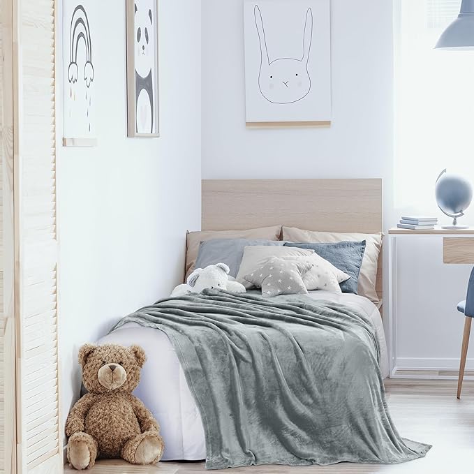 Utopia Bedding Fleece Blanket Queen Size Ash Grey 300GSM Luxury Fuzzy Soft Anti-Static Microfiber Bed Blanket (90x90 Inch)