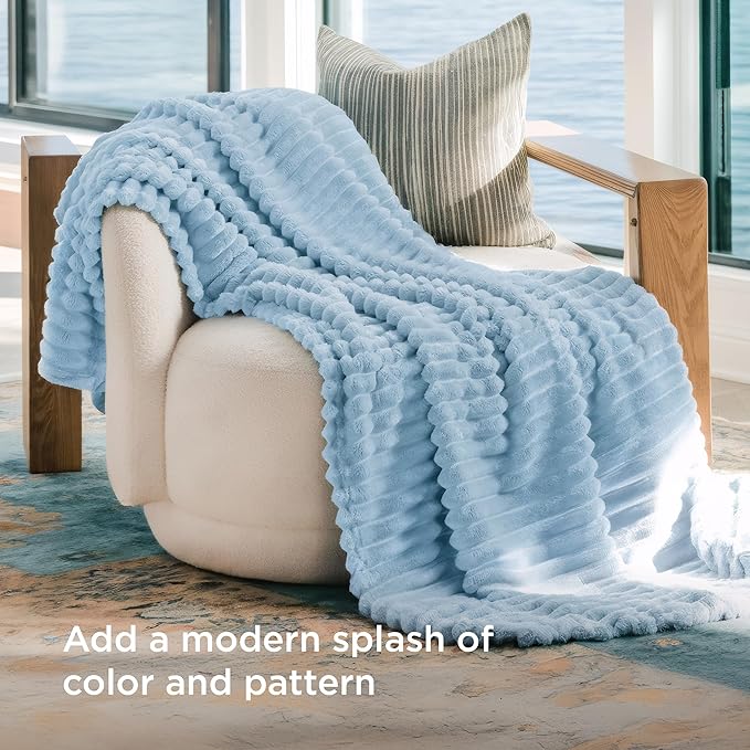 Bedsure GentleSoft Blue Fleece Blanket for Couch - Cozy Soft Blankets for Women, Cute Small Throws for Girls, Spring Decorations for Home, Light Blue, 50x60 Inches