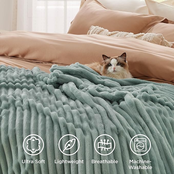 Bedsure GentleSoft Green Throw Blanket for Couch - Cozy Soft Blankets for Women, Cute Small Fleece Throws for Girls, Sage Green Room Decor Decorations for Home, 50x60 Inches