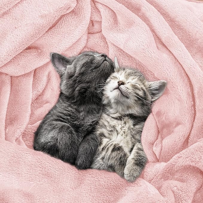 Utopia Bedding Fleece Blanket Queen Size Pink 300GSM Luxury Fuzzy Soft Anti-Static Microfiber Bed Blanket (90x90 Inch)