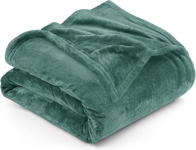 Utopia Bedding Fleece Blanket Queen Size Celadon 300GSM Luxury Fuzzy Soft Anti-Static Microfiber Bed Blanket (90x90 Inch)