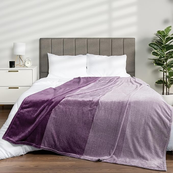 PAVILIA Flannel Fleece Ombre Throw Blanket for Couch | Super Soft Cozy Microfiber Sofa Blanket | Gradient Decorative Accent Throw, Twin Size Blanket | All Season, 60x80 Inches Purple Lavender