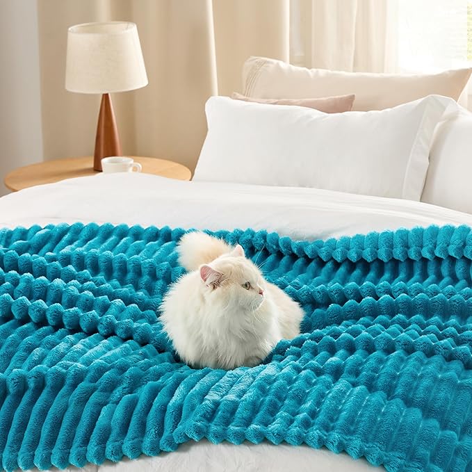 Bedsure GentleSoft Teal Twin Blanket for Bed - Cozy Soft Blankets for Women, Cute Large Throws for Girls, 66x90 Inches