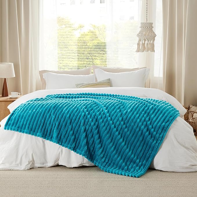 Bedsure Teal Fleece Blanket for Couch - Super Soft Cozy Twin Blankets for Women, Cute Small Throws for Girls, 60x80 Inches