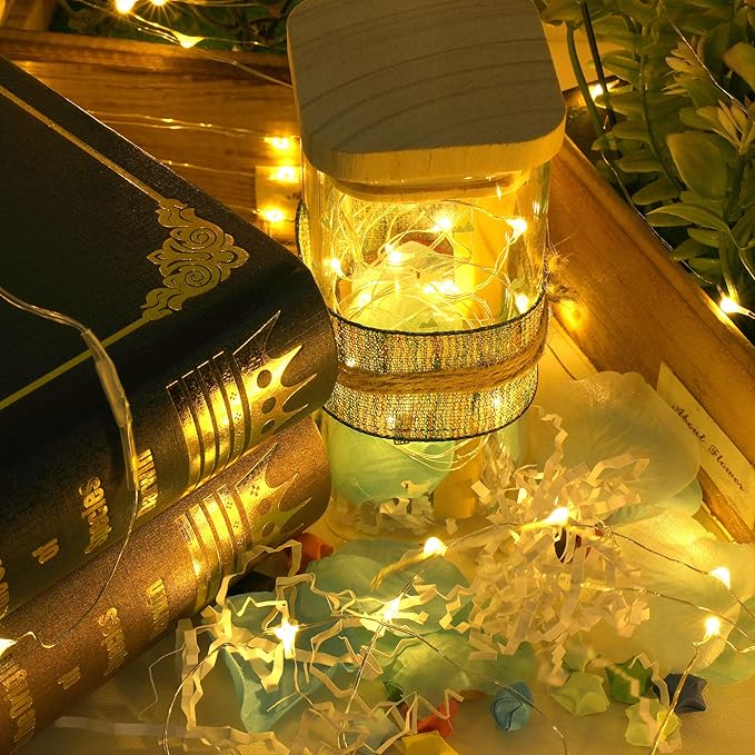 Ehome Fairy Lights, USB Operated Fairy Light Plug in 33ft 100 Led Waterproof String Lights Copper Wire Decorative String Light for Bedroom Indoor Christmas Wedding Party Patio Window