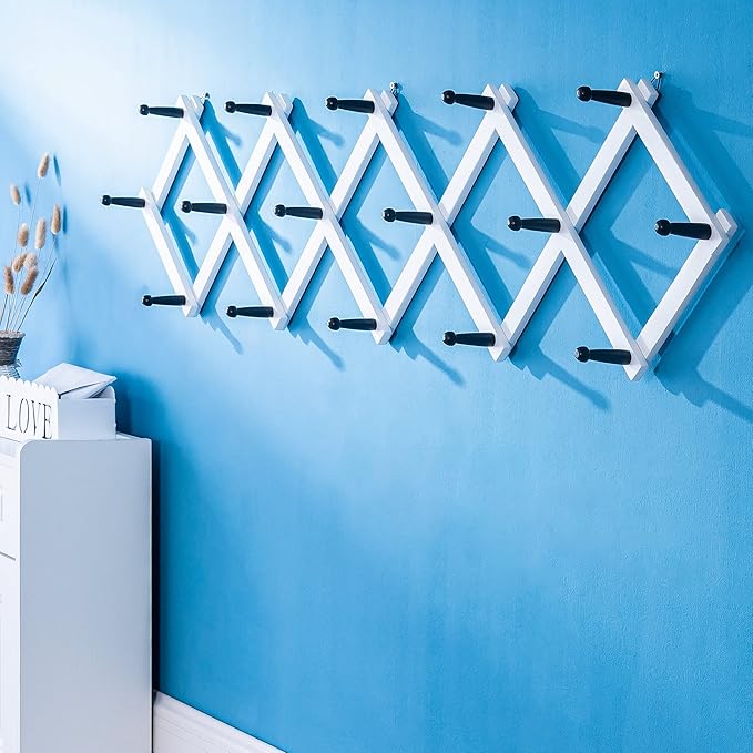 SKOLOO Accordion Wall Hanger with 16 Hooks, Modern Expandable Coat Rack Hat Rack for Wall, Solid Wooden, Black on White