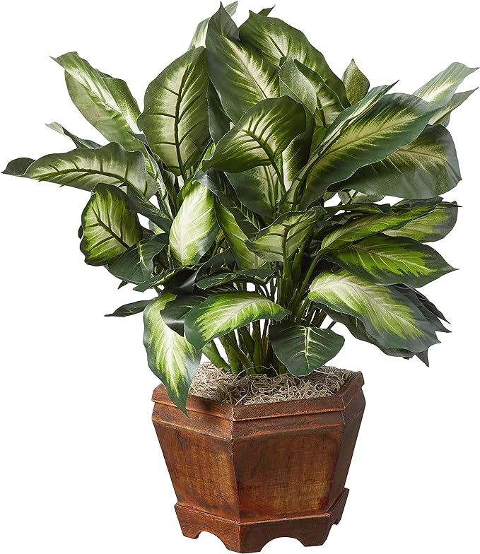Nearly Natural 22IN Artificial Triple Golden Dieffenbachia Plant with Decorative Wood Planter, Faux Plant for Indoor Home Décor