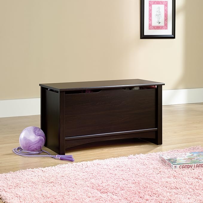 Sauder Shoal Creek Storage Chest, Toy Storage Chest for Living Room, Storage Trunk, in Jamocha Wood