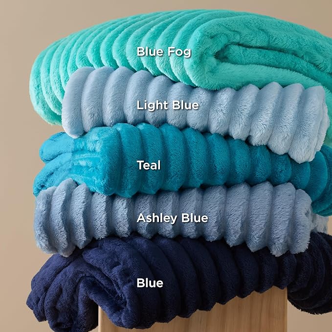 Bedsure GentleSoft Fall Throw Blanket for Couch - Cozy Soft Blankets for Women, Cute Small Throws for Girls, Ashley Blue, 50x60 Inches