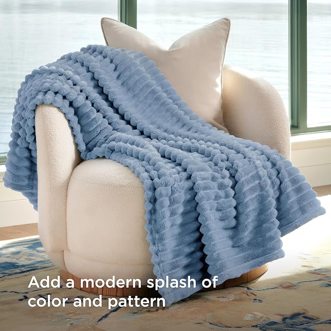 Bedsure GentleSoft Twin Blanket for Couch - Cozy Soft Blankets for Women, Cute Small Throws for Girls, Ashley Blue, 60x80 Inches