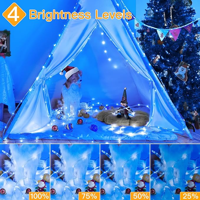 Ollny Rope Lights 33FT 100 LED, USB Multicolor String Lights with Remote, 8 Modes IP68 Waterproof Timer Christmas Lights for Indoor Outdoor Bedroom Party Christmas Decorations