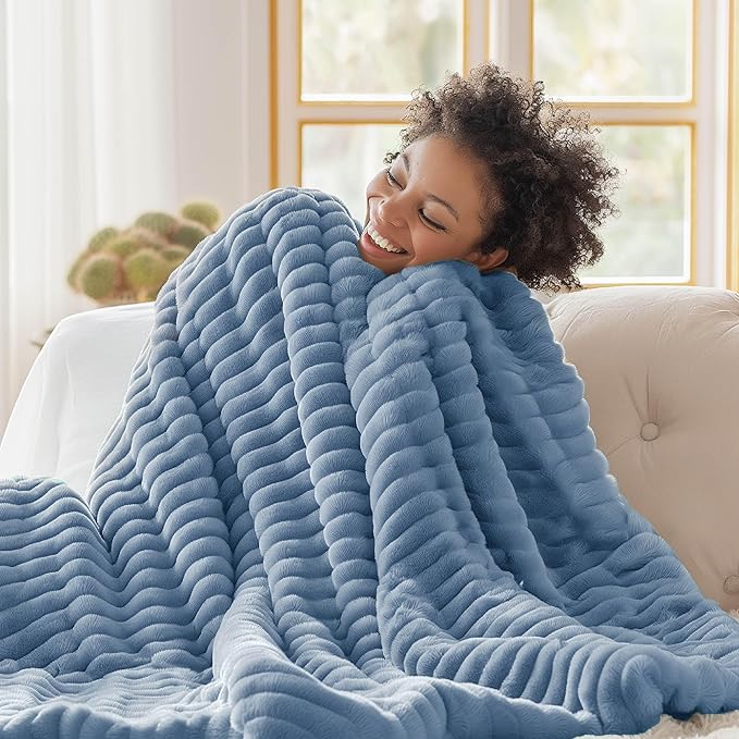 Bedsure GentleSoft Twin Blanket for Couch - Cozy Soft Blankets for Women, Cute Small Throws for Girls, Ashley Blue, 60x80 Inches