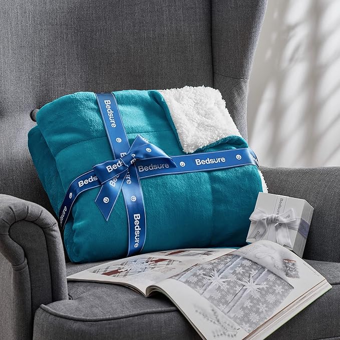 Bedsure GentleSoft Sherpa Fleece Throw Blanket Twin Size for Couch - Thick and Warm Throw for Women and Men, Soft Fuzzy Plush Twin Blanket for Winter, Teal, 60x80 Inches