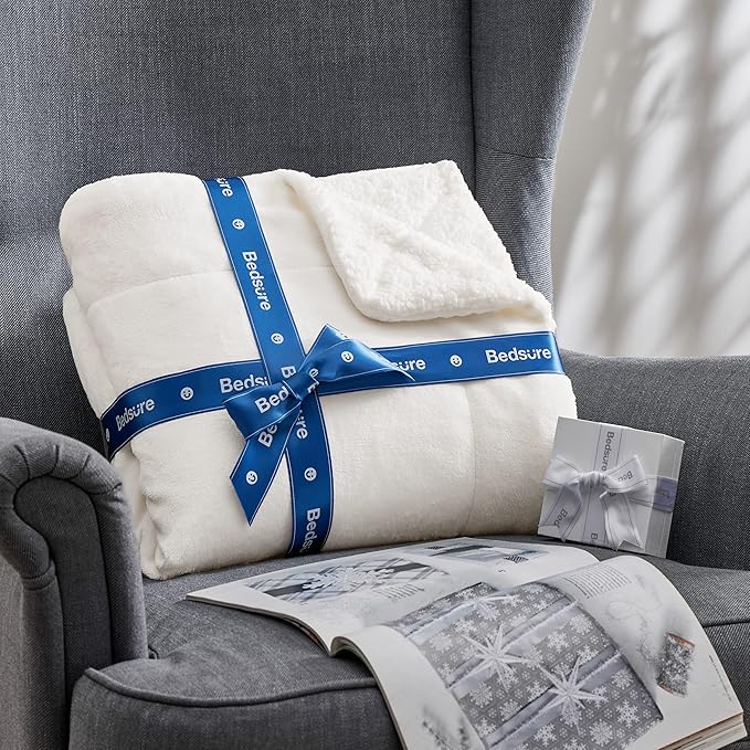 Bedsure GentleSoft Sherpa Fleece Throw Blanket Twin Size for Couch - Thick and Warm Throw for Women and Men, Soft Fuzzy Plush Twin Blanket for Winter, White, 60x80 Inches