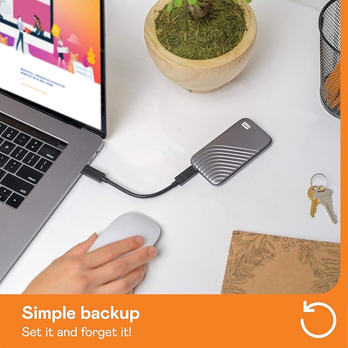 Western Digital 1TB My Passport SSD Portable External Solid State Drive, Gray, Sturdy and Blazing Fast, Password Protection with Hardware Encryption - WDBAGF0010BGY-WESN