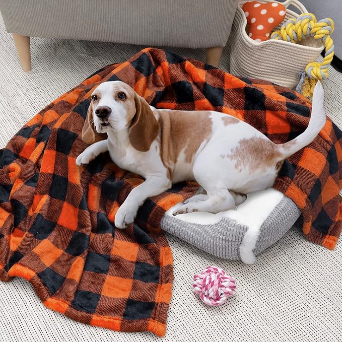 PAVILIA Black and Orange Buffalo Plaid Fleece Throw Blanket for Couch, Soft Halloween Flannel Blanket for Sofa, Orange Checkered Plaid Fall Couch Throw, Warm Cozy Fall Bed Blanket Decor Gift, 50x60