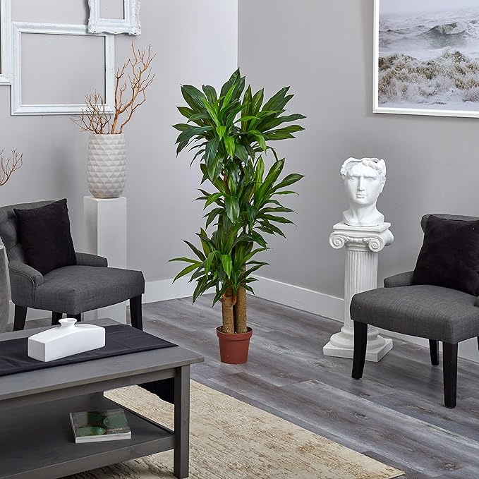 Nearly Natural 62IN Artificial Corn Stalk Dracaena Plant, Tall Fake Plant for Indoor Home Décor, Real Touch Faux Plant