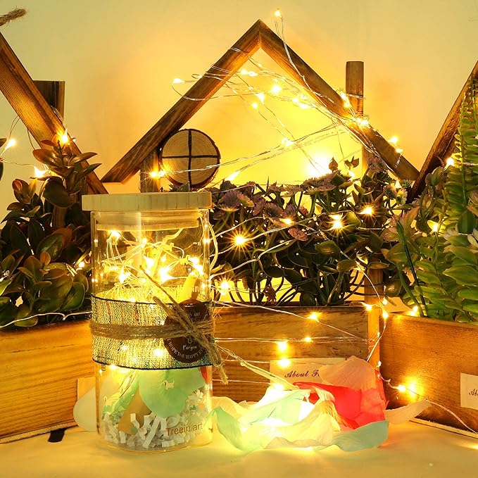 Ehome Fairy Lights, USB Operated Fairy Light Plug in 33ft 100 Led Waterproof String Lights Copper Wire Decorative String Light for Bedroom Indoor Christmas Wedding Party Patio Window