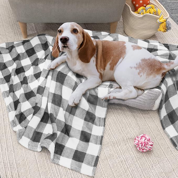 PAVILIA Light Grey Buffalo Plaid Throw Blanket for Couch, Soft Checkered Flannel Fleece Blanket for Sofa, Grey White Plaid Decorative Couch Throw, Warm Cozy All Season Fall Blanket Decor Gift, 60x80
