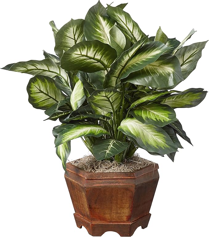 Nearly Natural 22IN Artificial Triple Golden Dieffenbachia Plant with Decorative Wood Planter, Faux Plant for Indoor Home Décor