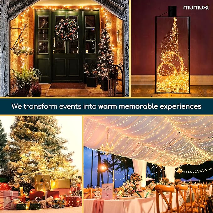MUMUXI 2 Pack 33ft 100 LED Fairy Lights with Timer, Ourdoor Battery-Powered Twinkle and Remote Control, Christmas String Lights, Warm White Waterproof Decorative Lighting for Holidays and Events